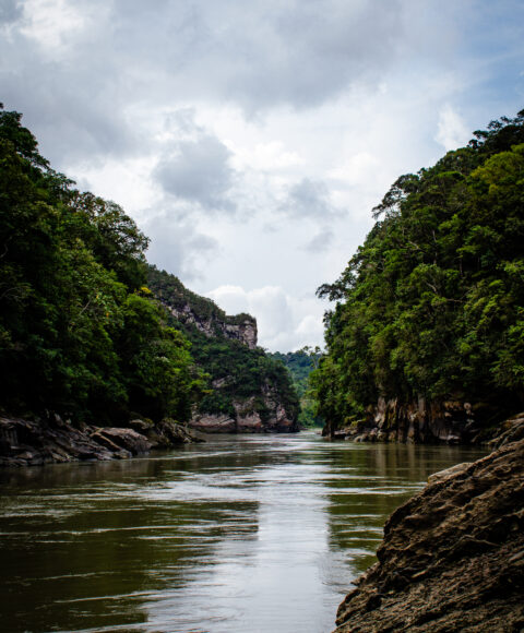 Excursion al increible Pongo de Mainique y rio turquesa (Yoguiato) 2D/N