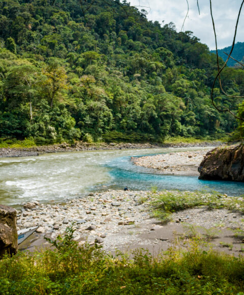 Excursion al increible Pongo de Mainique y rio turquesa (Yoguiato) 2D/N